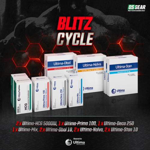 Blitz Cycle Blitz Cycle