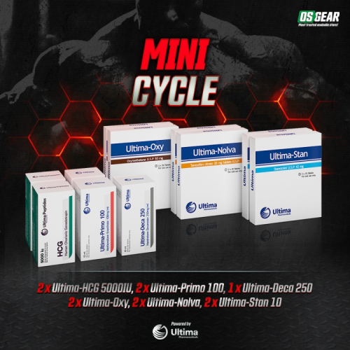 Mini Cycle Mini Cycle